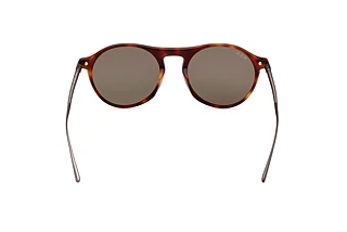 Widok z tyłu Web Eyewear WE0346 (52N)