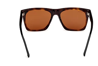 Widok z tyłu Web Eyewear WE0350 (55E)