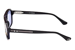 Widok z boku Web Eyewear WE0376 (56V)