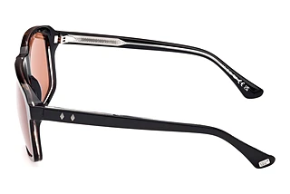 Widok z boku Web Eyewear WE0378 (56J)