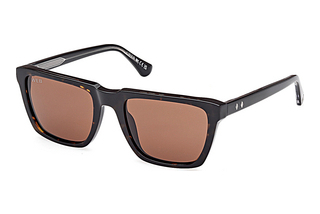 Web Eyewear WE0379 56E braunHavanna/Einfarbig