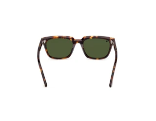 Widok z tyłu Web Eyewear WE0391 (52N)