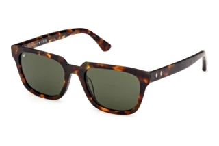 Widok z przodu Web Eyewear WE0391 (52N)