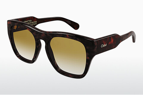 Okulary przeciwsłoneczne Chloé CH0149S 002