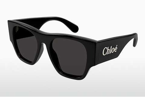 Okulary przeciwsłoneczne Chloé CH0233S 001