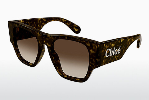 Okulary przeciwsłoneczne Chloé CH0233S 002