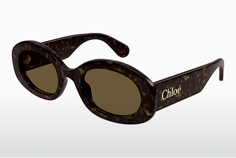 Okulary przeciwsłoneczne Chloé CH0258S 002