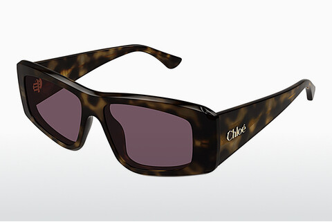 Okulary przeciwsłoneczne Chloé CH0299S 002