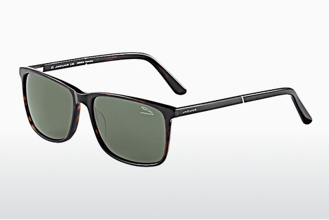 Okulary przeciwsłoneczne Jaguar 37120 8940