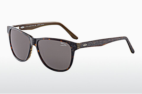 Okulary przeciwsłoneczne Jaguar 37161 6133