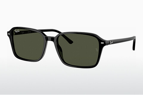 Okulary przeciwsłoneczne Ray-Ban RAIMOND (RB2231 901/31)