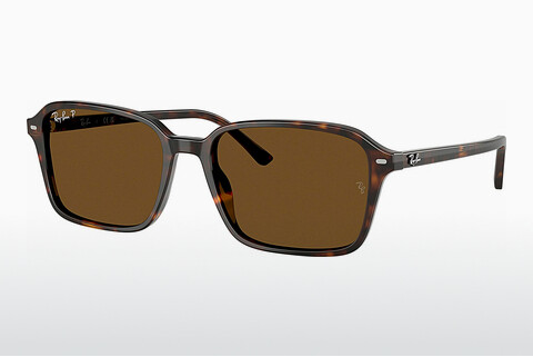 Okulary przeciwsłoneczne Ray-Ban RAIMOND (RB2231 902/57)