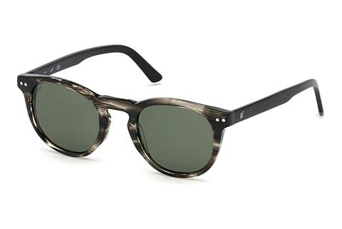 Okulary przeciwsłoneczne Web Eyewear WE0251 20N