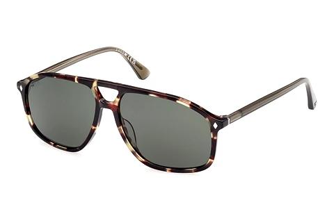 Okulary przeciwsłoneczne Web Eyewear WE0338 55N
