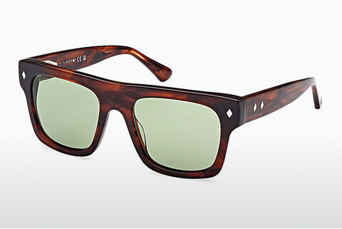 Okulary przeciwsłoneczne Web Eyewear WE0354 56N