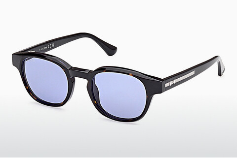 Okulary przeciwsłoneczne Web Eyewear WE0361 56V
