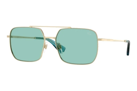 Okulary przeciwsłoneczne Burberry BE3179 110972