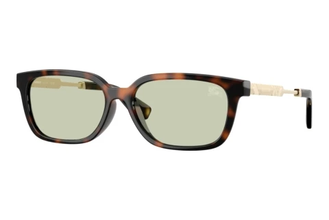 Okulary przeciwsłoneczne Burberry BE4481D 3002/2