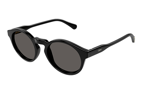 Okulary przeciwsłoneczne Chloé CC0014S 005