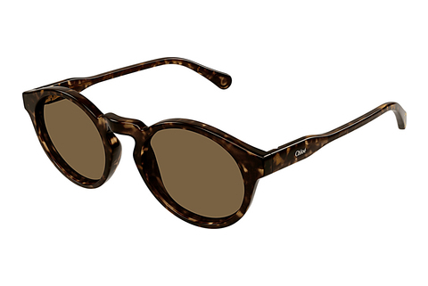 Okulary przeciwsłoneczne Chloé CC0014S 006