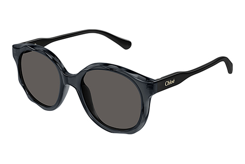 Okulary przeciwsłoneczne Chloé CC0019S 001