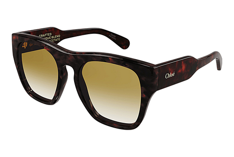 Okulary przeciwsłoneczne Chloé CH0149S 002