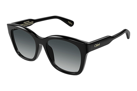 Okulary przeciwsłoneczne Chloé CH0194SK 001