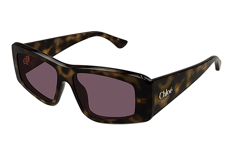 Okulary przeciwsłoneczne Chloé CH0299S 002