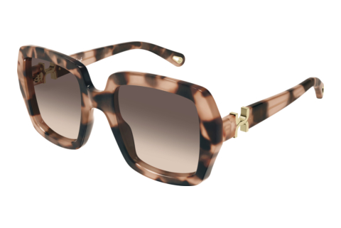 Okulary przeciwsłoneczne Chloé CH0301S 006