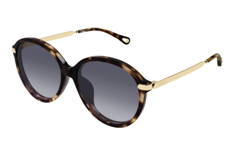 Okulary przeciwsłoneczne Chloé CH0358SK 002