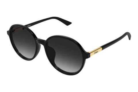 Okulary przeciwsłoneczne Chloé CH0365SK 001