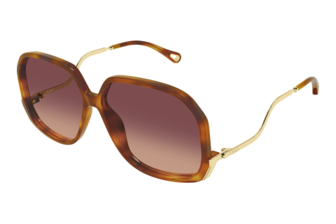 Okulary przeciwsłoneczne Chloé CH0404S 001
