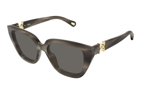 Okulary przeciwsłoneczne Chloé CH0410S 002