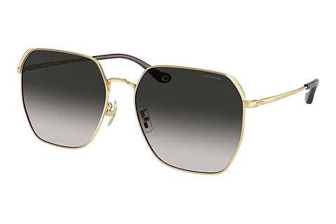 Okulary przeciwsłoneczne Coach CR638 (HC7165D 90053C)