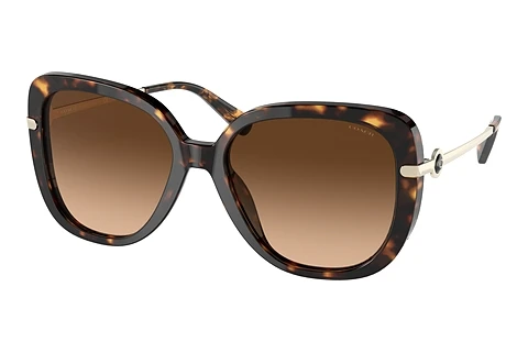 Okulary przeciwsłoneczne Coach C6180 (HC8320 512074)