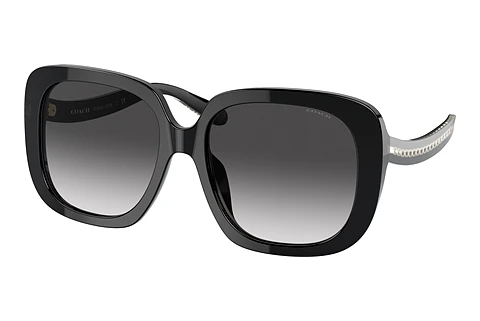 Okulary przeciwsłoneczne Coach C6185 (HC8323U 50028G)