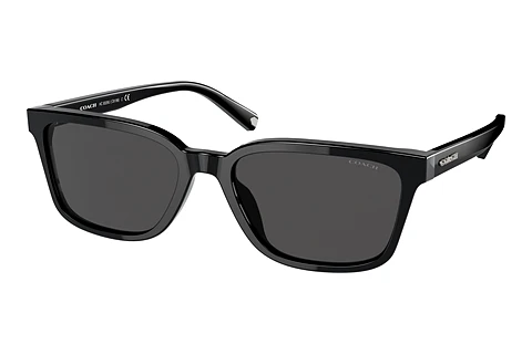 Okulary przeciwsłoneczne Coach C6196 (HC8328U 500287)