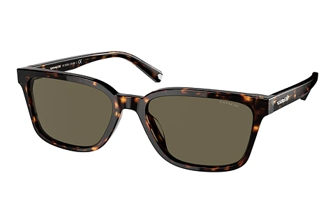 Okulary przeciwsłoneczne Coach C6196 (HC8328U 512003)