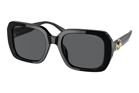 Okulary przeciwsłoneczne Coach C6188 (HC8329U 500287)