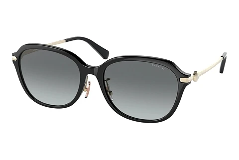 Okulary przeciwsłoneczne Coach C6199 (HC8332D 500211)
