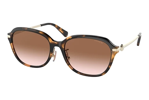 Okulary przeciwsłoneczne Coach C6199 (HC8332D 512013)