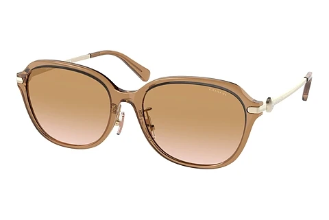 Okulary przeciwsłoneczne Coach C6199 (HC8332D 565413)