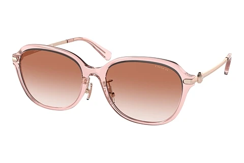 Okulary przeciwsłoneczne Coach C6199 (HC8332D 566613)