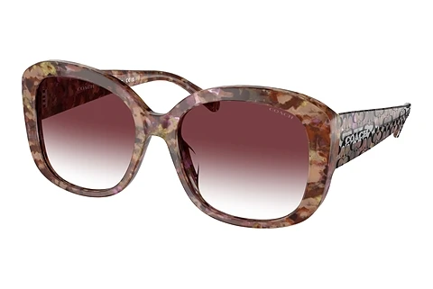 Okulary przeciwsłoneczne Coach CH564 (HC8363U 57398H)