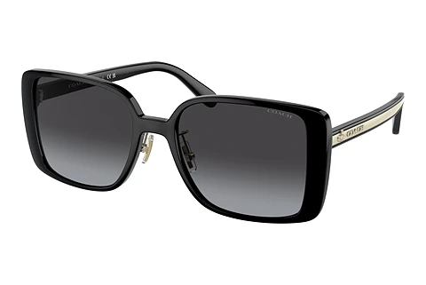 Okulary przeciwsłoneczne Coach CH562 (HC8375 50028G)