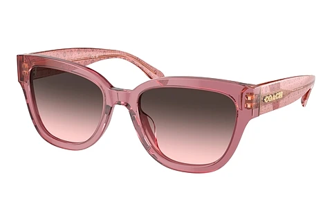 Okulary przeciwsłoneczne Coach CL920 (HC8379U 580046)
