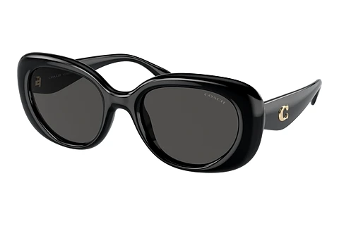 Okulary przeciwsłoneczne Coach CR609 (HC8391U 500287)