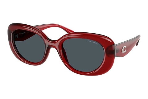 Okulary przeciwsłoneczne Coach CR609 (HC8391U 586287)