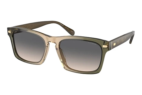 Okulary przeciwsłoneczne Coach CR628 (HC8397U 5797G9)