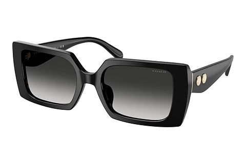 Okulary przeciwsłoneczne Coach CW224 (HC8409U 50023C)
